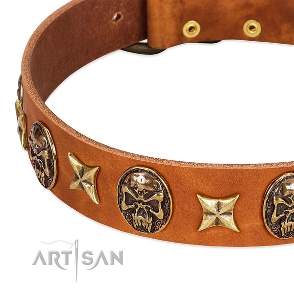 Durable buckle on genuine leather dog collar for your four-legged friend