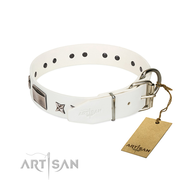Decorated collar of natural leather for your impressive canine
