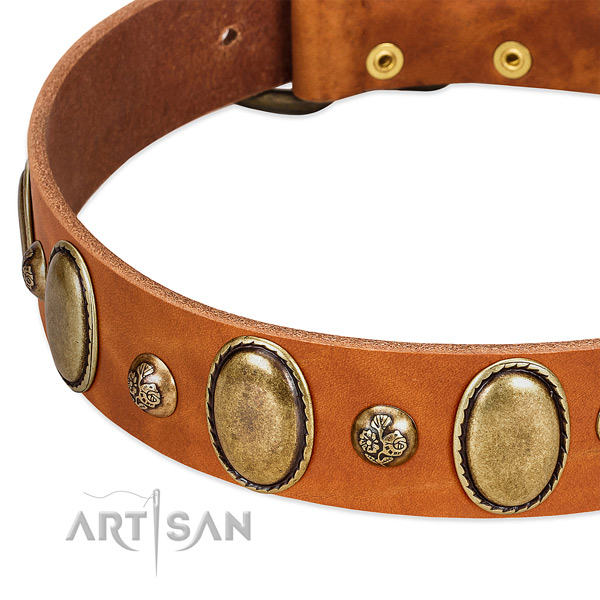 Full grain genuine leather dog collar with unusual adornments