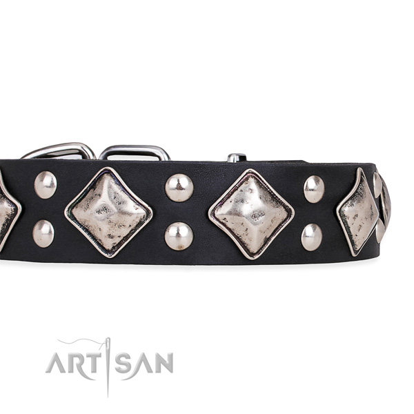 Full grain leather dog collar with trendy corrosion resistant adornments