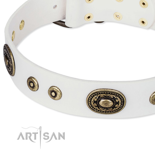 Full grain leather dog collar made of quality material with embellishments