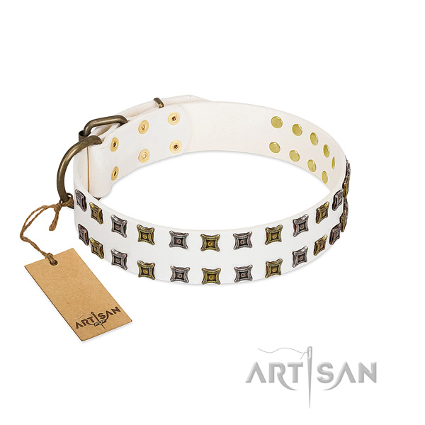Top notch genuine leather dog collar with embellishments for your four-legged friend
