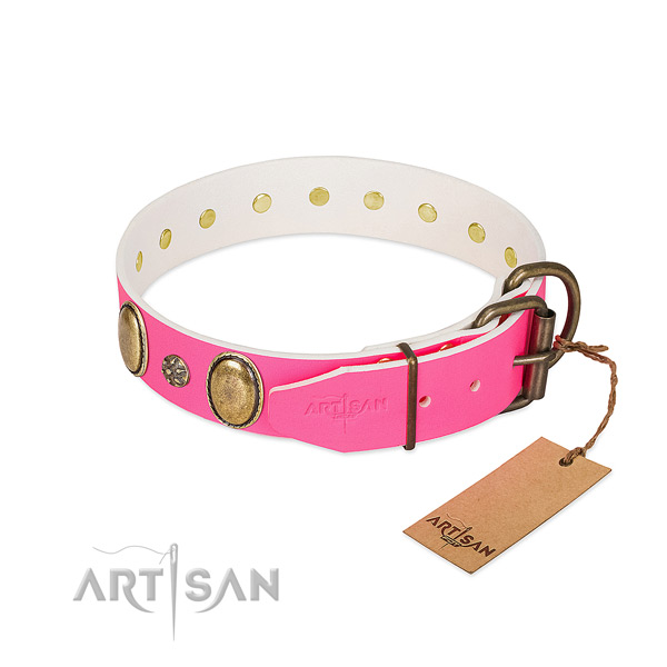 Quality leather dog collar with embellishments