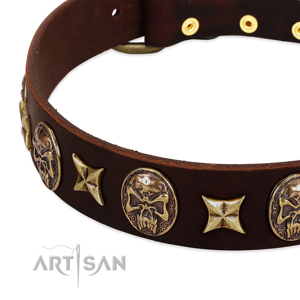 Reliable traditional buckle on full grain natural leather dog collar for your pet