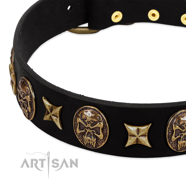 Corrosion resistant buckle on leather dog collar for your doggie