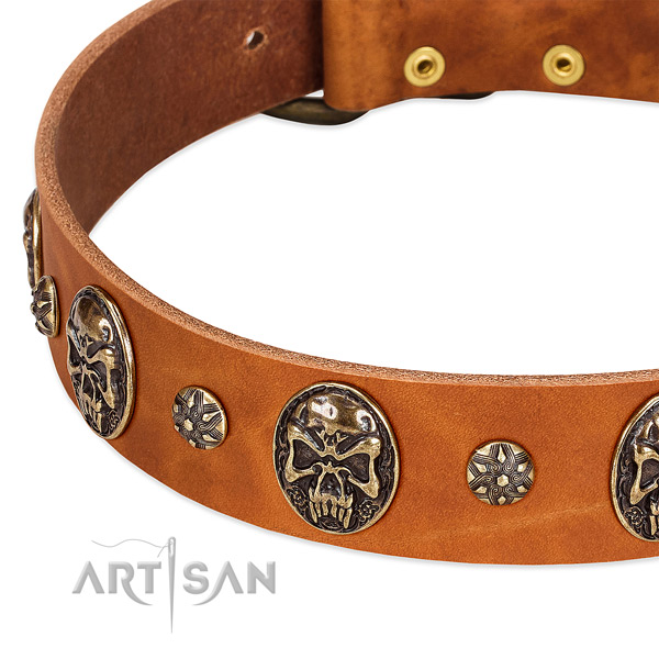 Corrosion resistant fittings on full grain leather dog collar for your doggie