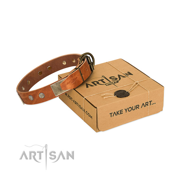 Rust resistant hardware on dog collar for stylish walking