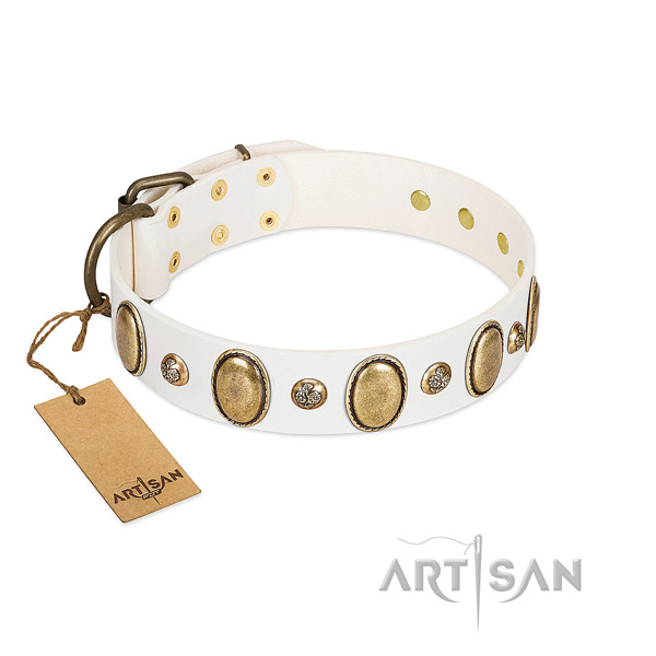 Full grain leather dog collar of gentle to touch material with unusual decorations