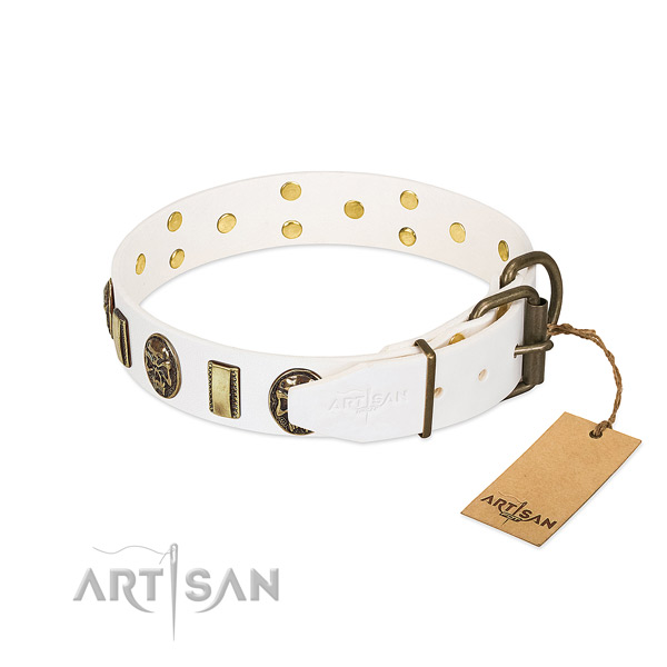 Rust-proof hardware on full grain leather collar for fancy walking your doggie