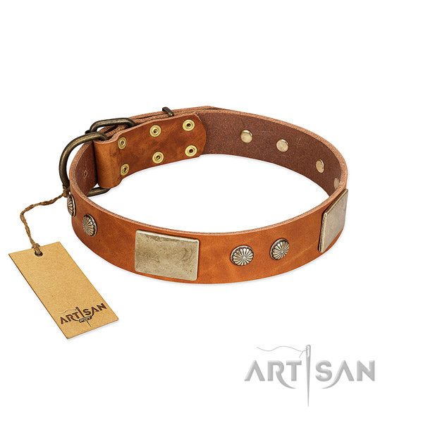 Easy wearing leather dog collar for daily walking your pet