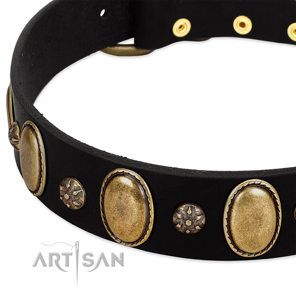 Daily use top notch full grain genuine leather dog collar