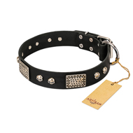 "Pirates Gold" FDT Artisan Black Leather Rottweiler Collar with Old Silver Look Plates and Skulls