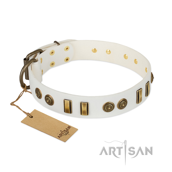 Reliable studs on natural leather dog collar for your four-legged friend