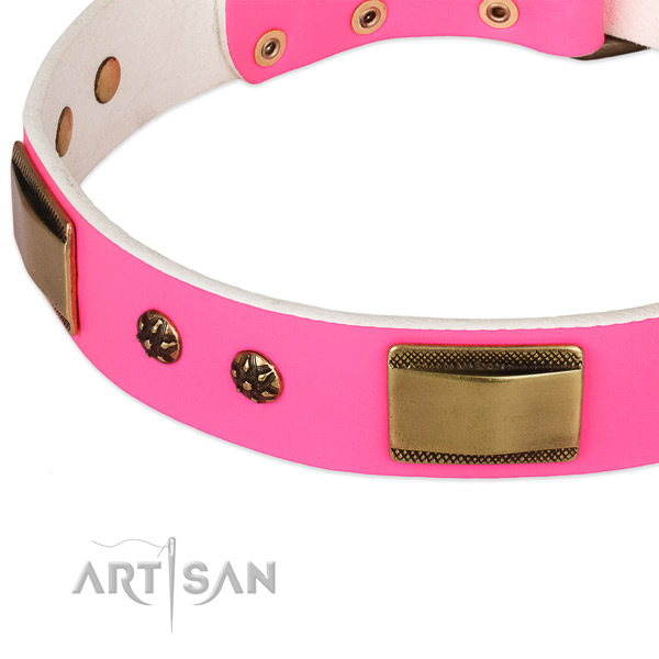 Corrosion proof embellishments on full grain genuine leather dog collar for your dog