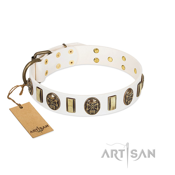 Comfortable leather dog collar for walking