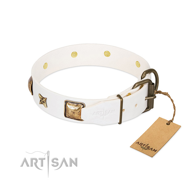 Natural genuine leather dog collar with reliable fittings and embellishments