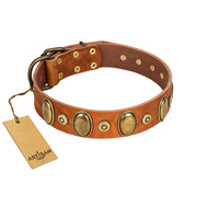 "Crystal Sand" FDT Artisan Tan Leather Rottweiler Collar with Vintage Looking Oval and Round Studs