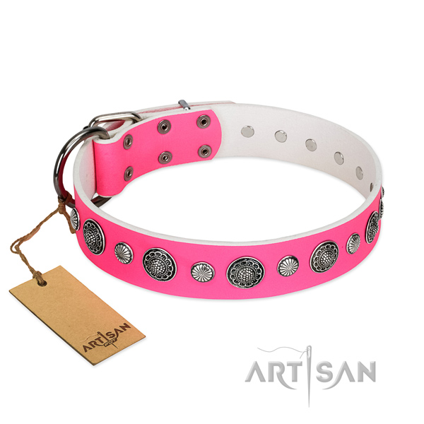 Top notch full grain genuine leather dog collar with rust-proof traditional buckle