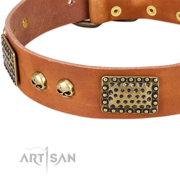 Reliable D-ring on full grain genuine leather dog collar for your pet
