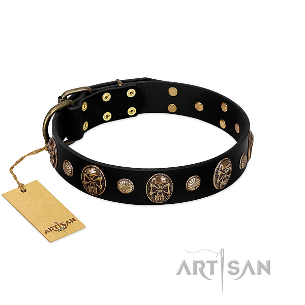 Full grain natural leather dog collar with corrosion resistant adornments