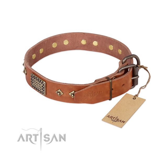 Full grain leather dog collar with reliable buckle and decorations
