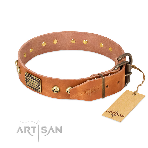 Durable traditional buckle on easy wearing dog collar