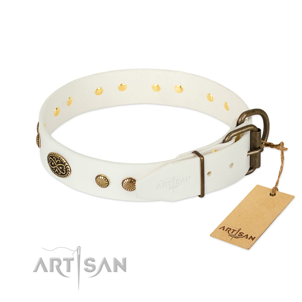 Rust resistant embellishments on natural leather dog collar for your canine