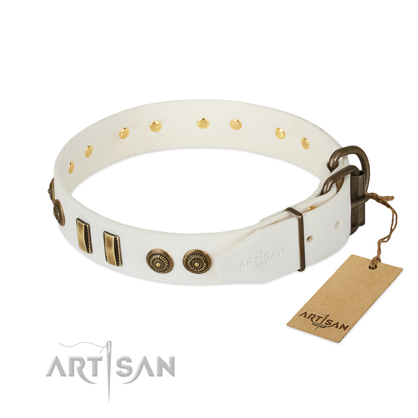Rust-proof traditional buckle on leather dog collar for your four-legged friend