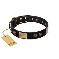 "Chicci-Glam" FDT Artisan Black Leather Rottweiler Collar with Plates and Ornate Studs