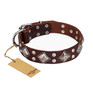"King of Grace" FDT Artisan Stylish Leather Rottweiler Collar with Old Silver-Like Plated Decorations