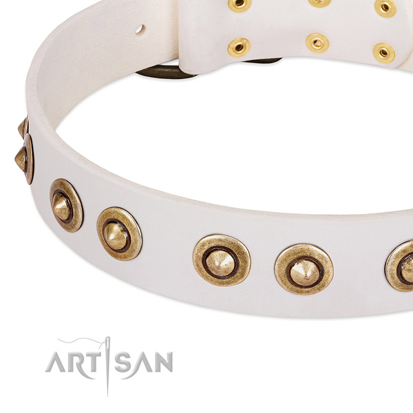 Corrosion resistant fittings on leather dog collar for your pet