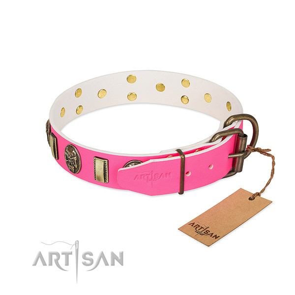 Rust resistant embellishments on leather dog collar for your four-legged friend