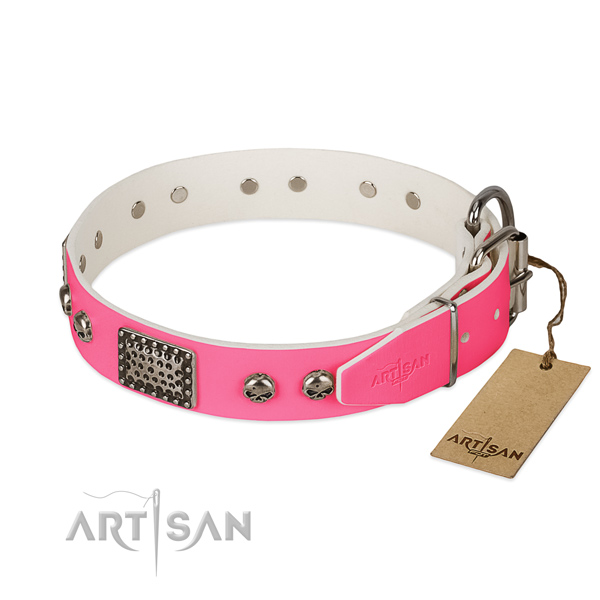 Strong decorations on everyday walking dog collar