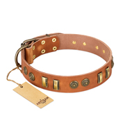 "Natural Beauty" FDT Artisan Tan Leather Rottweiler Collar with Old Bronze-like Circles and Plates