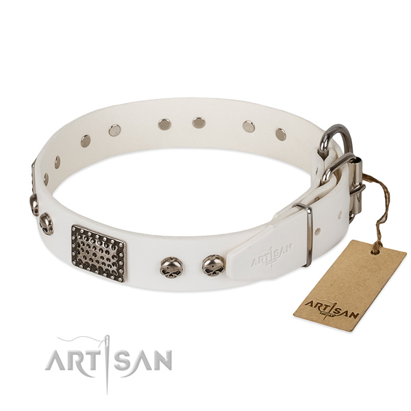 Rust resistant D-ring on daily walking dog collar