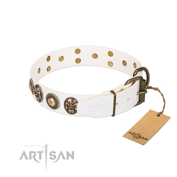Corrosion resistant fittings on daily use dog collar