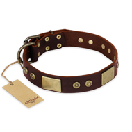 "Shining Armour" FDT Artisan Brown Leather Rottweiler Collar with Decorations