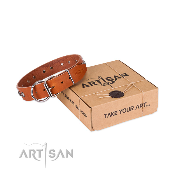 Strong traditional buckle on dog collar for daily use