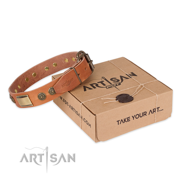 Durable buckle on full grain natural leather dog collar for fancy walking