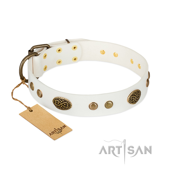 Corrosion proof embellishments on full grain genuine leather dog collar for your doggie
