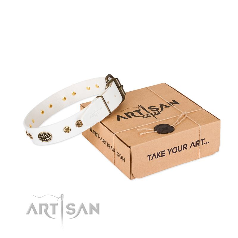 Reliable fittings on leather dog collar for your pet
