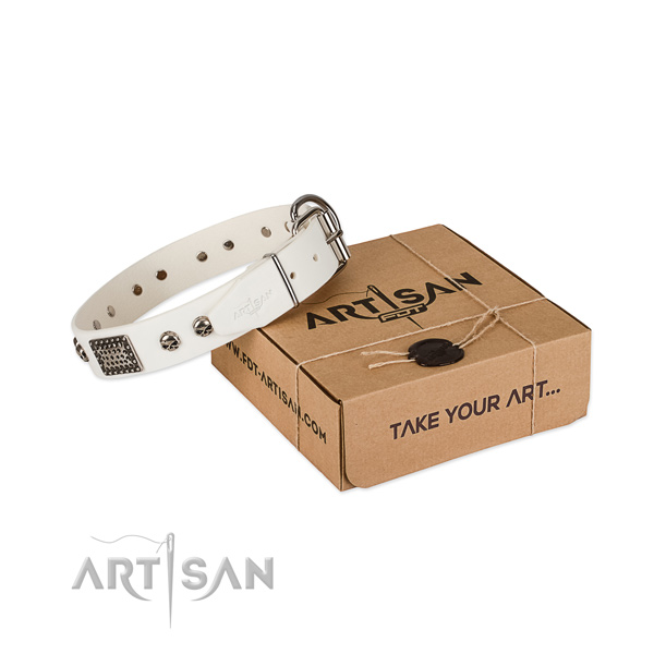Rust resistant embellishments on dog collar for basic training