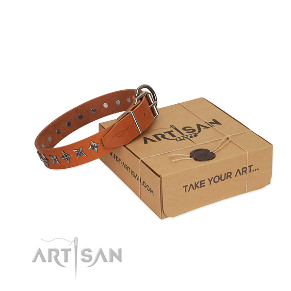 Comfy wearing dog collar of reliable genuine leather with embellishments