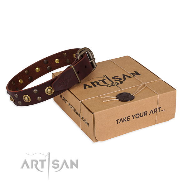 Reliable D-ring on genuine leather collar for your impressive canine