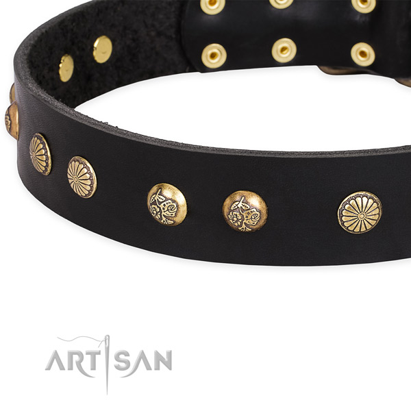 Natural genuine leather collar with reliable buckle for your impressive pet