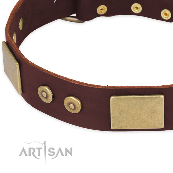 Genuine leather dog collar with embellishments for walking