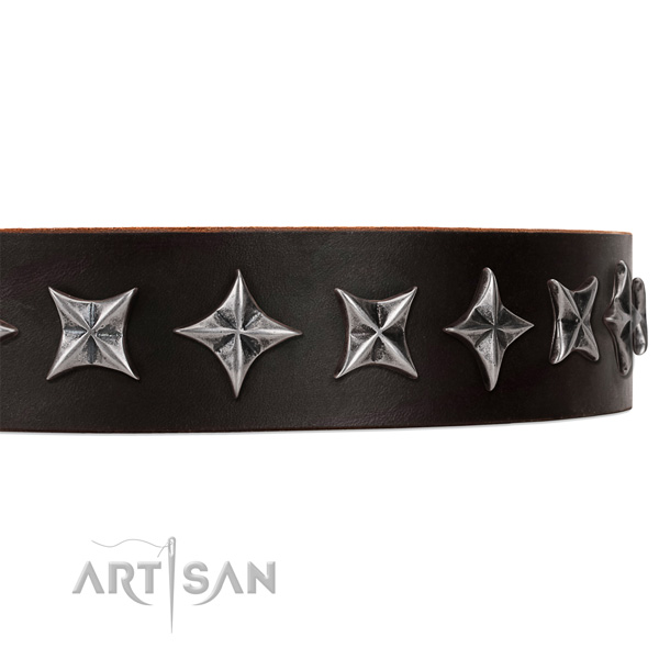 Stylish walking studded dog collar of durable full grain leather