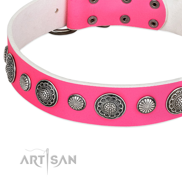 Genuine leather collar with corrosion resistant traditional buckle for your stylish doggie