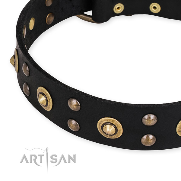 Genuine leather collar with rust resistant hardware for your attractive four-legged friend