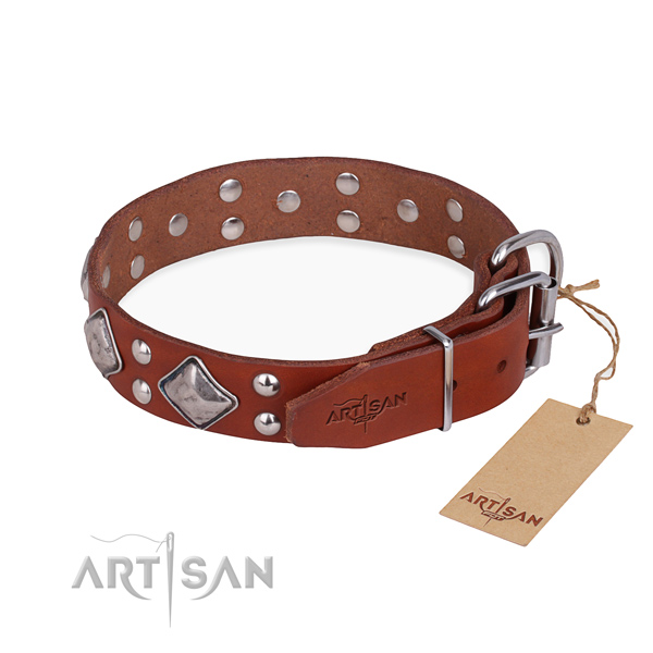 Natural leather dog collar with unusual corrosion resistant decorations